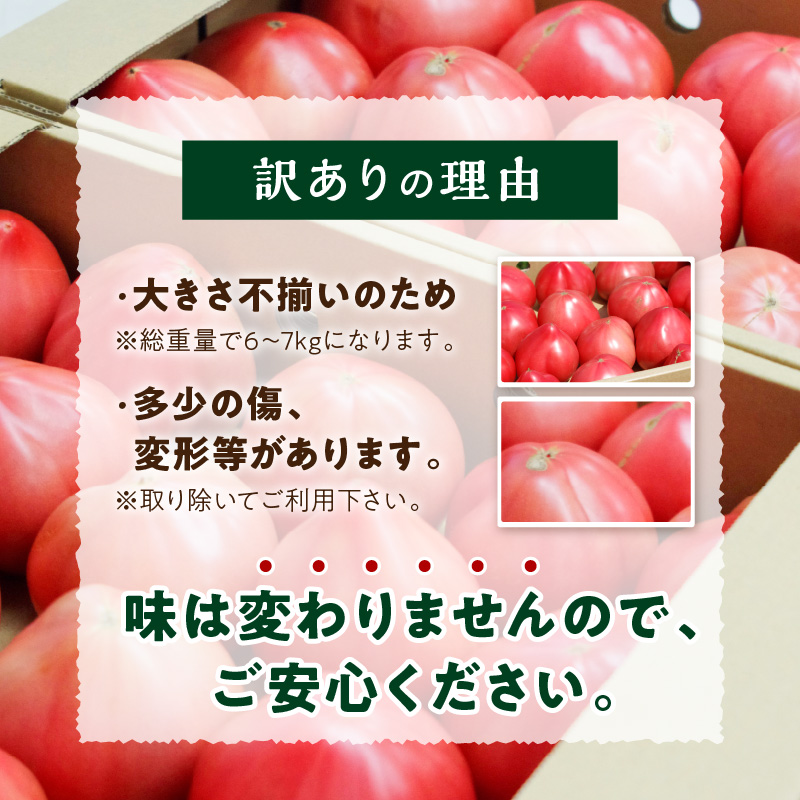 期間限定　真っ赤なトマトわけあり大容量6kg～7kg【A9-014】
