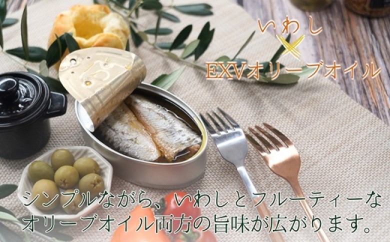 缶詰工場直送 「旬ほとぎ」イワシオリーブオイル12缶( ふるさと納税 イワシ缶 缶詰 工場直送 いわし ご飯のお供 非常食 保存食 送料無料 )【B0-250】