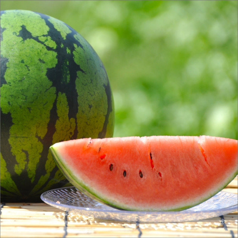 松浦産大玉スイカ(1玉7kg前後) ( すいか 西瓜 野菜 夏野菜 産地直送 期間限定 数量限定 ミネラル 新鮮 甘い あまい 大玉 ギフト プレゼント 贈り物 予約 )【B2-182】