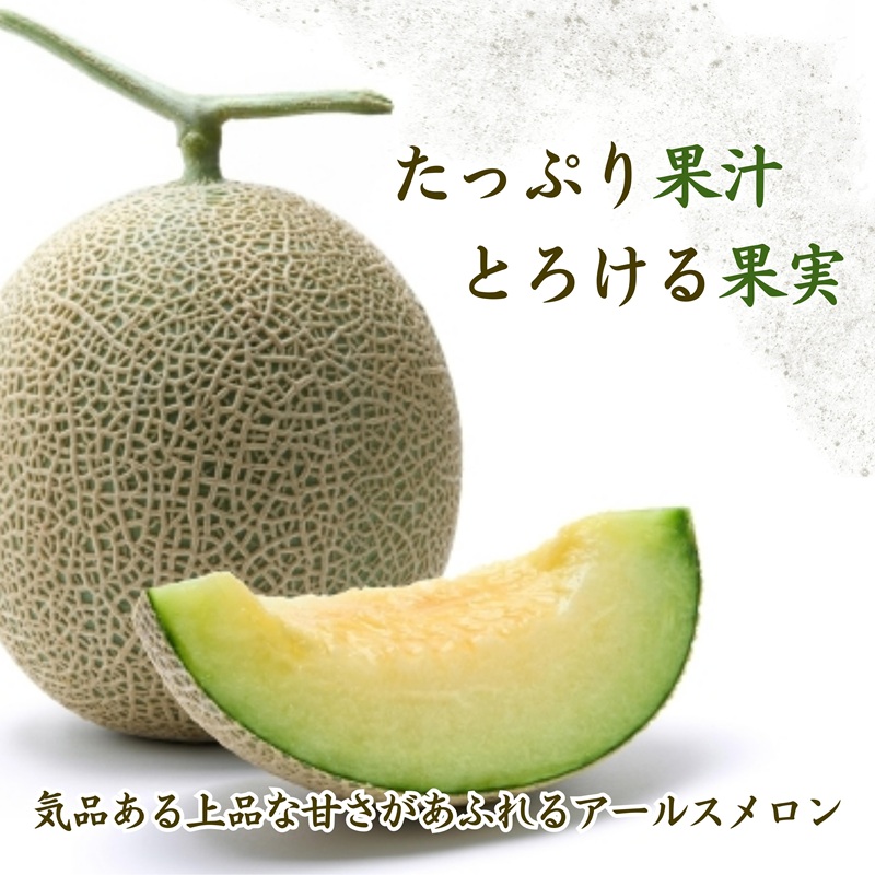 1.4㎏以上！大玉アールスメロン　夢メロン2玉入り( メロン 大玉 夢メロン アールスメロン )【B0-202】