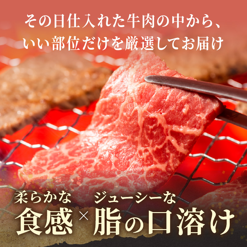 訳あり！【A4～A5】長崎和牛焼肉切り落とし(肩ロース・バラ)500g( 牛肉 おすすめ 長崎和牛 バーベキュー 焼肉 切り落とし 冷凍 国産 送料無料 )【B1-188】