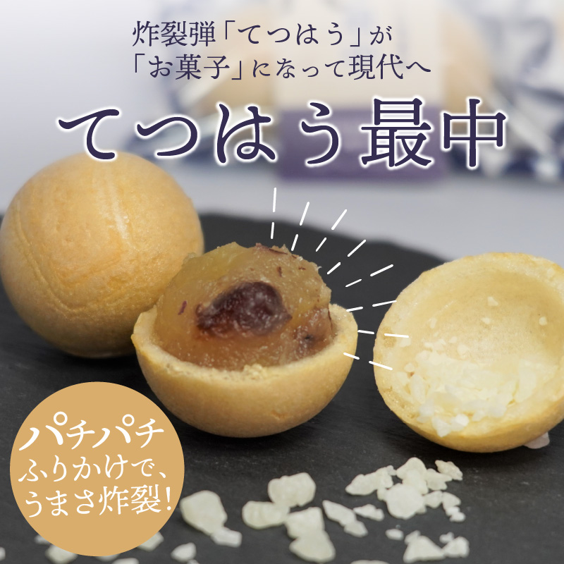 うまさ炸裂!!お口の中に蒙古襲来!!てつはう最中2個入り×6【B1-175】