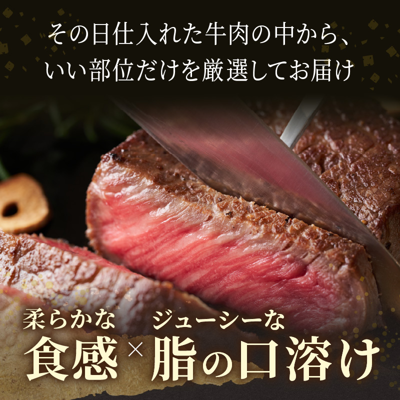 【A4～A5】長崎和牛モモステーキ 約500g(100g×5p)( 牛肉 和牛 長崎和牛 おすすめ ジューシー 焼き肉 ステーキ モモ 美味しい )【B2-210】