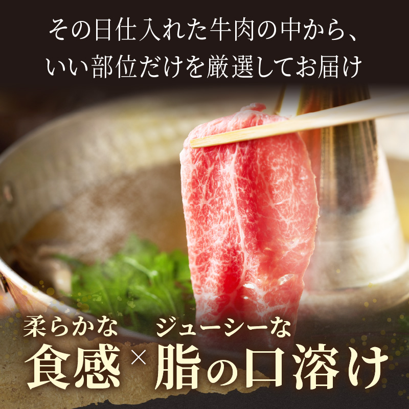 訳あり！【A4～A5】長崎和牛赤身霜降りしゃぶしゃぶすき焼き用(肩・モモ)600g( 肉 牛肉 牛 長崎和牛 国産牛 しゃぶしゃぶ すき焼き 霜降り 赤身 )【B2-203】