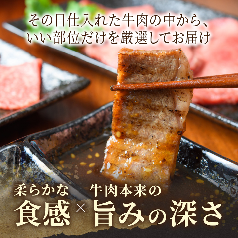 訳あり！【A4～A5】長崎和牛焼肉用 500g( 牛肉 牛 和牛 国産 焼肉 おすすめ 赤身 美味しい バーベキュー プレゼント ギフト 送料無料 お取り寄せ )【B2-205】