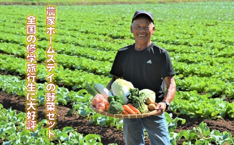 農漁村体験の聖地「松浦党の里」旬の野菜セット( 野菜 旬 旬の野菜 野菜詰め合わせ 地元野菜 地元食材 松浦産 )【B3-080】