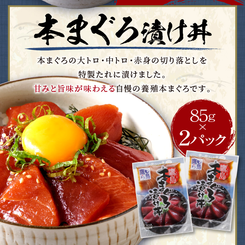 鷹島産本まぐろ・とらふぐ・ぶりの贅沢丼 3種セット[各2] ( 本マグロ 大トロ 中トロ 赤身 とらふぐ ブリ お手軽 丼 漬け 茶漬け 時短 )【B3-093】