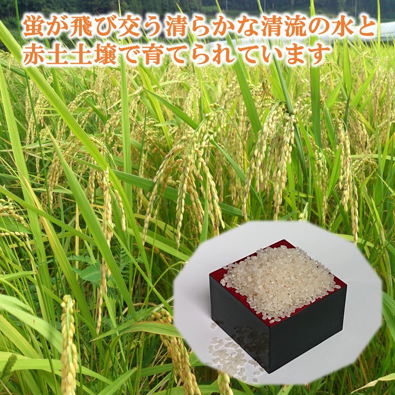 限定！！ 田代の米5kgと もち麦1kgセット( 米 もち麦 コシヒカリ ヒノヒカリ 紫もち麦 もち麦 セット )【B7-030】