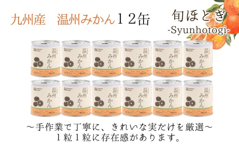 缶詰工場直送　特選果実「旬ほとぎ」温州みかん 12缶( みかん ミカン 温州みかん 缶詰 みかん缶 シラップ漬け )【B5-108】