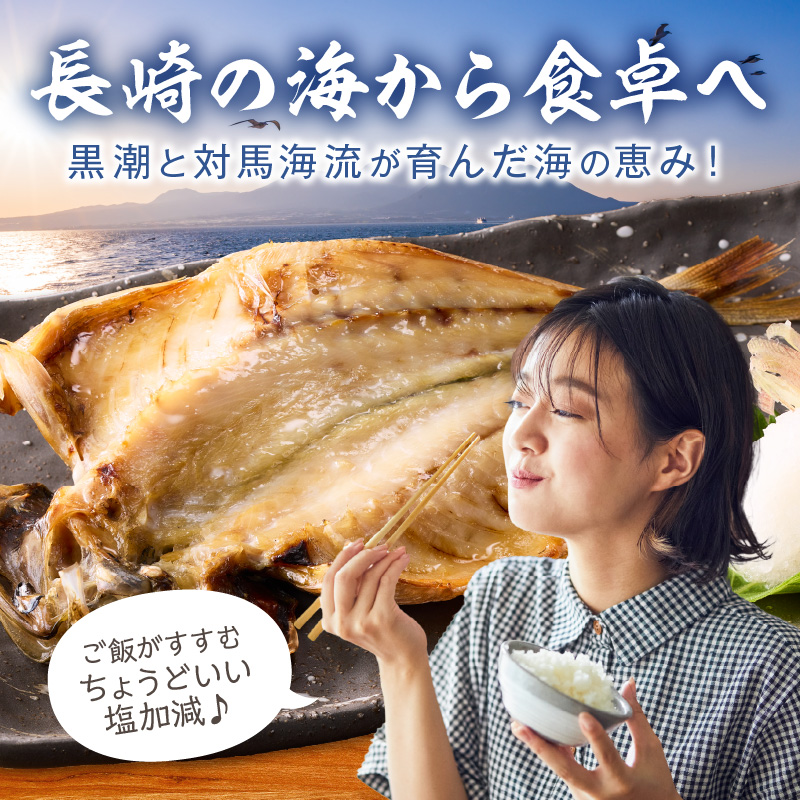 松浦・潮風のたより Ｂｉｇ(イカあり)( 松浦市 アジ イカ サバ カマス レンコダイ 干物 アジ開き サバフィレ 一夜干し 詰め合わせ )【B5-118】