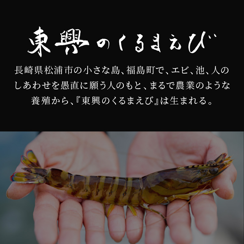 【宅配BOX不可】東興のくるまえび400g入【11月下旬～12月発送】( くるまえび 東興のくるまえび 車海老 海老 エビ )【B6-040-12M】