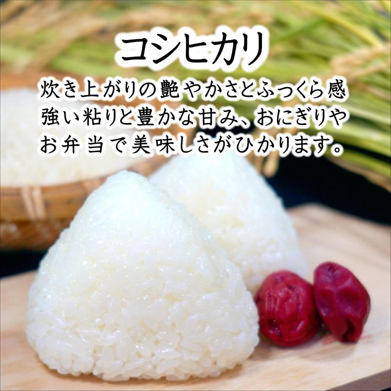 【令和7年産】須藤邦寿園の白米 コシヒカリ5kg( 米 コメ お米 コシヒカリ こしひかり 5kg 5キロ 甘い 甘み 粘り 精米 国産 送料無料 )【B6-051】