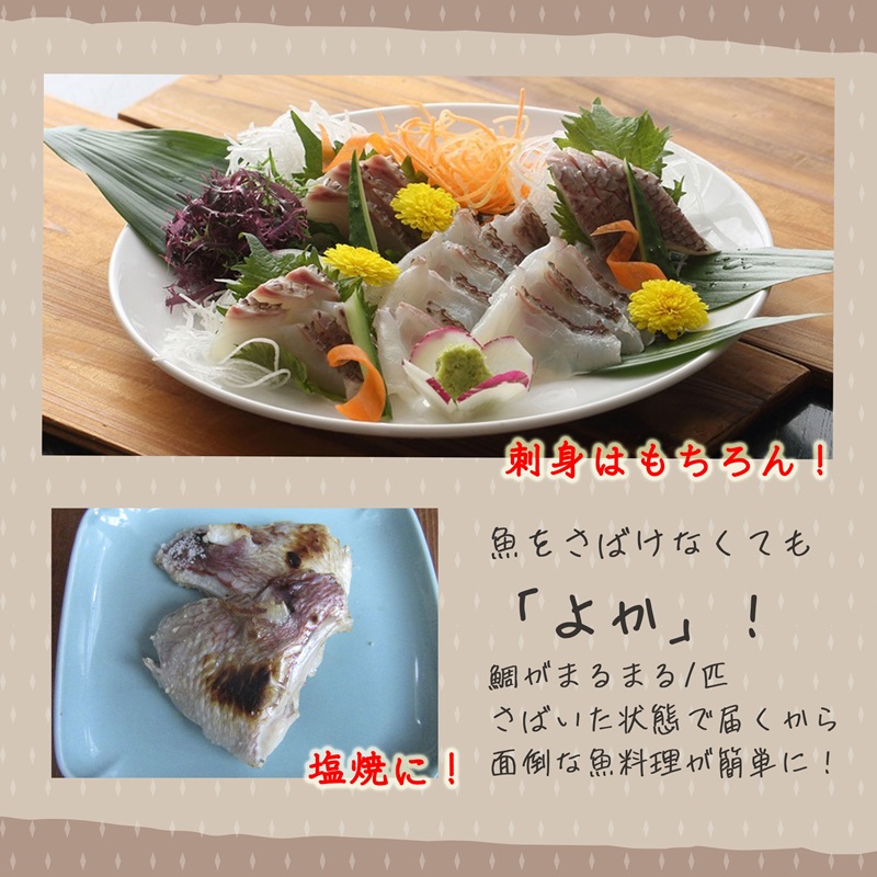 真鯛1匹柵どり済みで刺身・焼物・煮物に扱いやすさ抜群！よか鯛バイ！【B9-020】