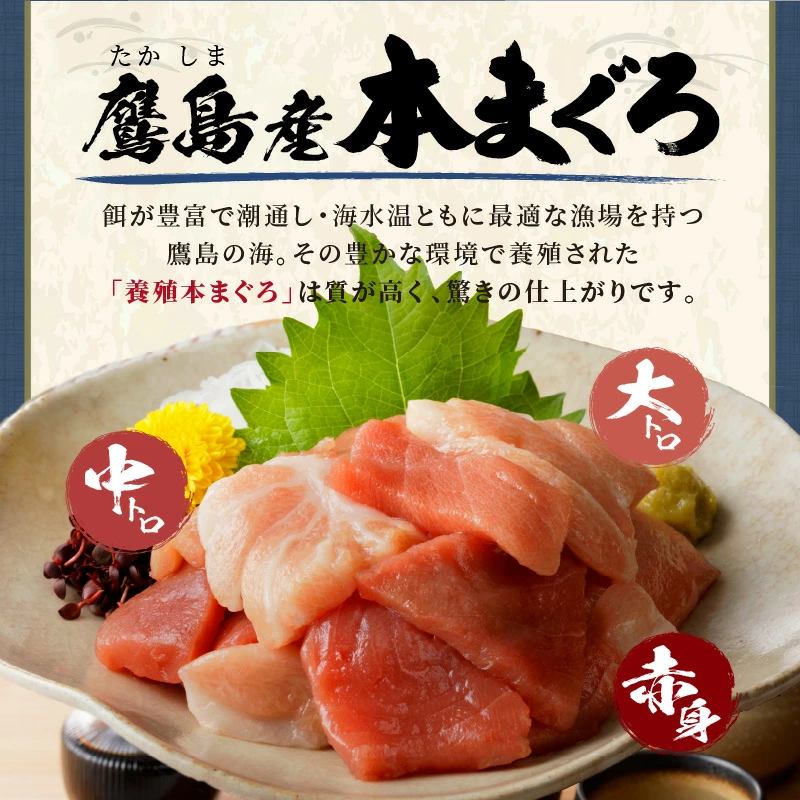 鷹島産本まぐろ 贅沢まぐろ たっぷり2人前(赤身と中・大トロの切り落とし200g)×4パック( まぐろ マグロ 鮪 大トロ 中トロ 赤身 本まぐろ 切り落とし 簡単解凍 )【C4-031】
