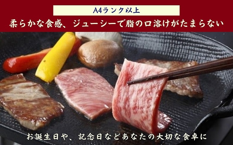 松浦食肉組合厳選A4ランク以上　極上！長崎和牛肩ロース焼肉用500g【C5-031】