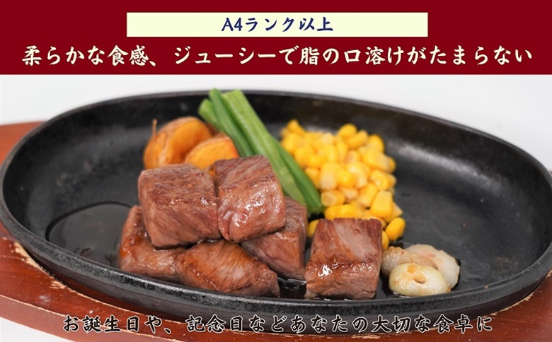 松浦食肉組合厳選Ａ４ランク以上長崎和牛サイコロステーキ500ｇ【C5-033】