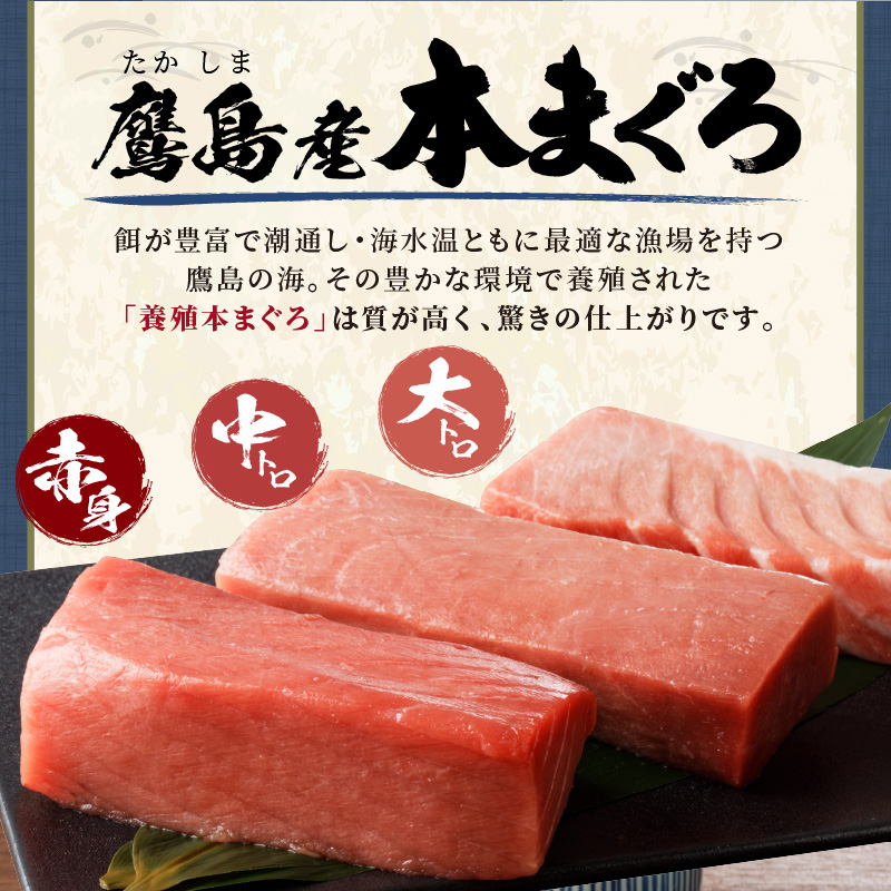 鷹島本まぐろ柵(赤身・中トロ・大トロ) 合わせて600g( マグロ まぐろ 赤身 中トロ 大トロ 本まぐろ 手軽 おつまみ 柵 流水解凍 )【C7-027】