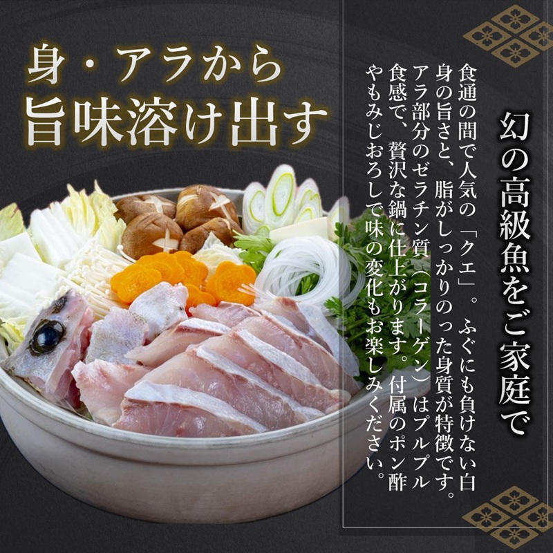 鷹島のうまかクエ鍋用(2～3人前)( 鷹島産 クエ 絶品 鱗処理済み クエ鍋 高級魚 )【C9-011】