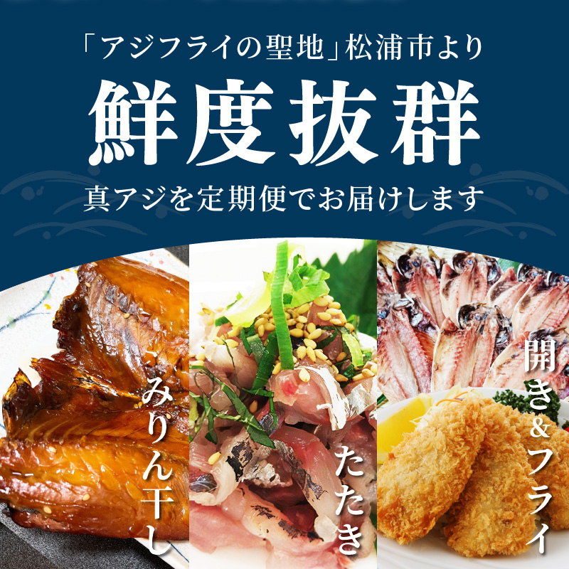 「青のまち 松浦」アジ堪能コース定期便全3回【2ヶ月毎配送】( 真アジ 鯵 アジ あじ アジフライ おかず つまみ 揚げ物 魚 魚介類 海の幸 鮮魚 おつまみ 一品長崎県 松浦市 ふるさと納税 )【D1-034】