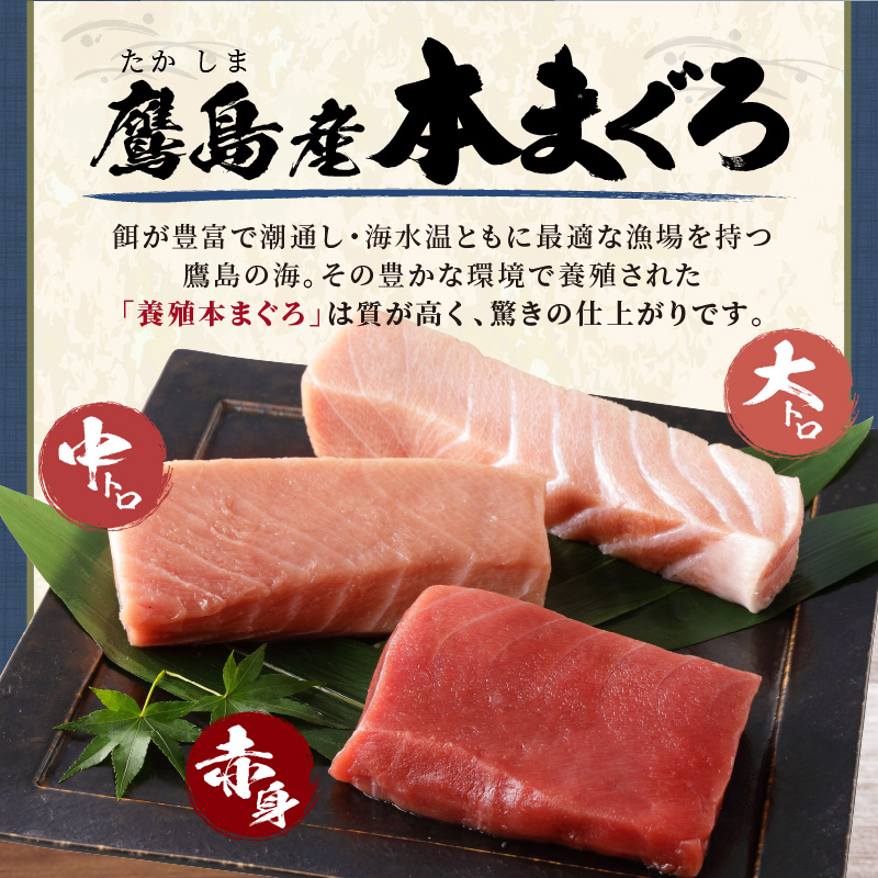 鷹島本まぐろ柵(赤身・中トロ・大トロ) 合わせて800g( マグロ まぐろ 赤身 中トロ 大トロ 本まぐろ 手軽 おつまみ 柵 流水解凍 )【D3-013】