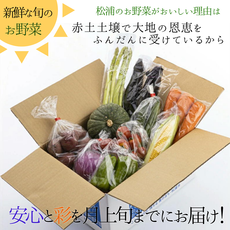 米5kgと卵20個付き！野菜の詰め合わせ定期便10回(上旬)【定期便】【K00-009】