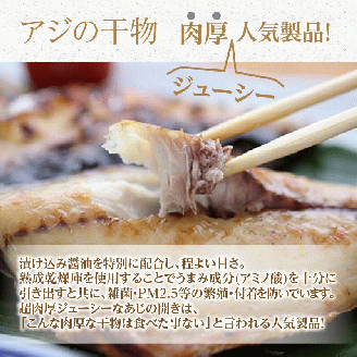 【全3回定期便】大判贅沢アジフライ＆金の干し魚(あじ)食べ比べセット【E8-002】