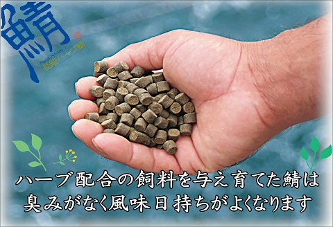 サバがこんなに美味しいなんて！長崎ハーブ鯖の「しめ鯖」2枚【B2-181】