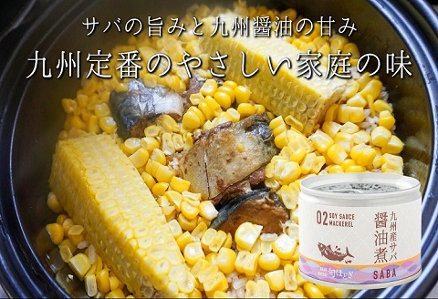 缶詰工場直送　伝統のさば缶「旬ほとぎ」醤油煮36缶【D4-014】