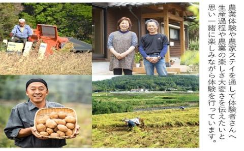 農漁村体験の聖地「松浦党の里」旬の野菜とお米(3kg)セット【B5-095】