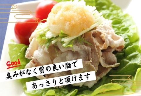 長崎県産豚肉切り落とし1kg(250g×4パック)【B0-222】