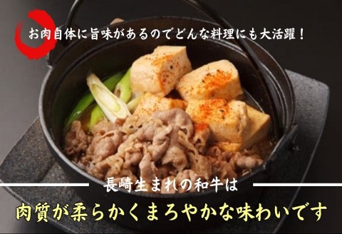 長崎和牛　切落し800g【C0-074】