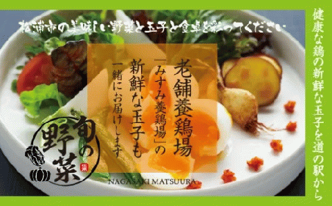 道の駅松浦海のふるさと館『旬のお野菜＋産みたて濃厚玉子6個』の大満足セット！【A8-039】