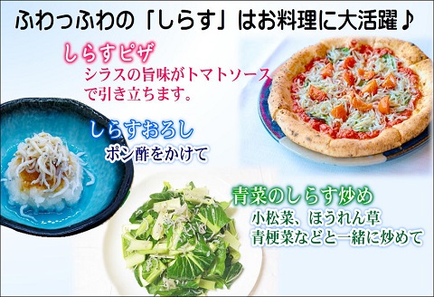 ふわっとしっとり釜揚げしらす150g×4パック【A9-051】