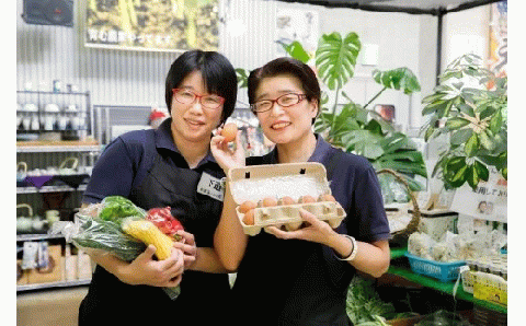 道の駅松浦海のふるさと館『旬のお野菜＋産みたて濃厚玉子6個＋お米5kg』の大満足セット！【B7-039】