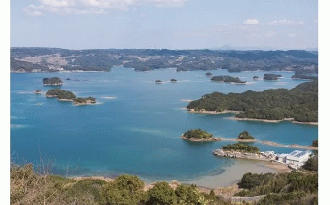 九州発！貸し切り遊覧船つばき号　弘法大師が筆をおとす美しさ「いろは島」デイクルーズ（2時間）【M00-002】