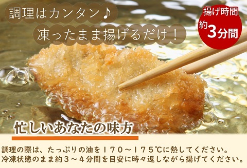 「アジフライの聖地　松浦」アジフライ三昧プラスセット【B9-021】