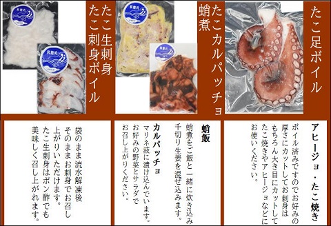 飛龍丸漁師直伝　下処理不要！流水解凍ですぐ使える旬のお魚セット( アジ イカ タコ なめろう 下処理済 小分け )【B5-105】