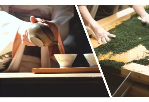 不老のしずく3本入＜特上玉緑茶＞( 茶葉 特上玉緑茶 ながさき農林業大賞受賞 厳選 )【B1-193】