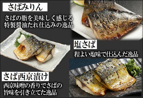 漁協直送！焼き魚5種5袋セット【B0-224】