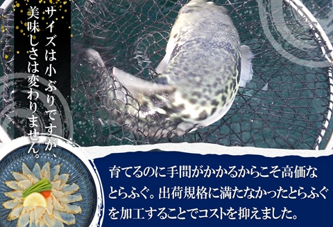 訳あり大容量！驚きの逸品「高級とらふぐ炙りてっさ」10人前【C3-022】