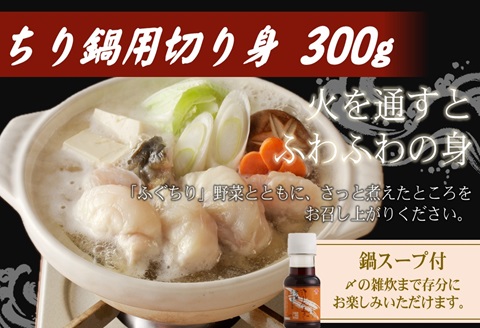 漁協直送！とらふぐを存分に味わう刺身・鍋・唐揚げフルコースセット2人前【C9-014】