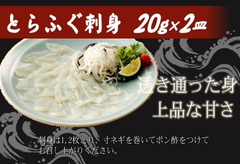 漁協直送！とらふぐ刺身1人前×2皿( とらふぐ トラフグ ふぐ フグ 河豚 刺身 ふぐ刺し フグ刺し 直送 松浦市 )【B3-079】
