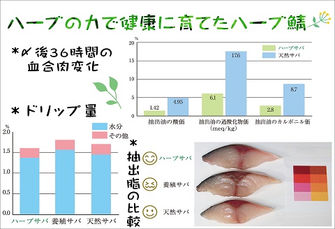 サバがこんなに美味しいなんて！長崎ハーブ鯖の「炙りしめ鯖」2枚【B3-018】