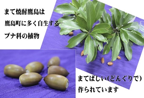 【鷹島町限定酒】まて焼酎鷹島720ml×1本( 焼酎 酒 オリジナル 限定酒 まろやか 4合瓶 酒 アルコール 鷹島 )【B0-232】