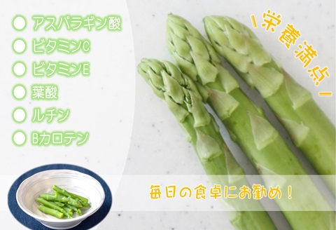 丸山農園の夏アスパラ1kg( アスパラガス アスパラ 野菜 夏野菜 やわらかい 手軽 松浦市 )【B0-162】