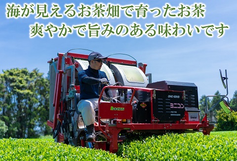 松浦のお知家(お茶ペットボトル)と手間なし本格派緑茶(ティーバッグ)セット( お茶 茶 緑茶 ペットボトル ティーバッグ 松浦茶 自家農園 )【B1-196】