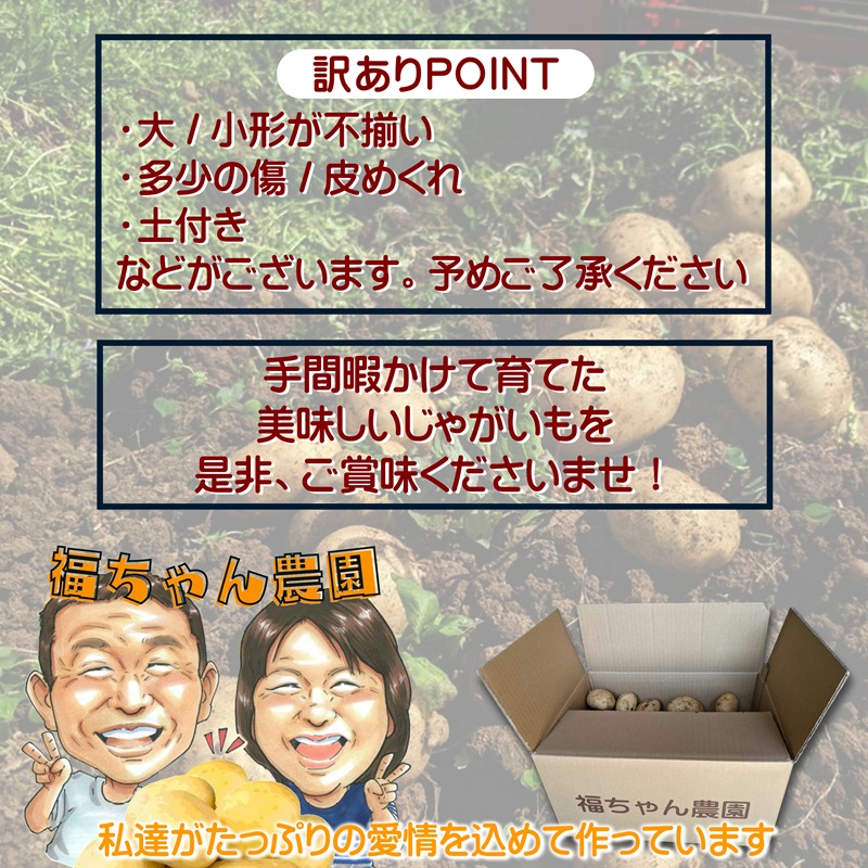 訳あり！農家直送のじゃがいも お試し3kg ( 訳あり じゃがいも いも 肉じゃが サラダ フライドポテト カレー シチュー 煮物 )【A6-042】