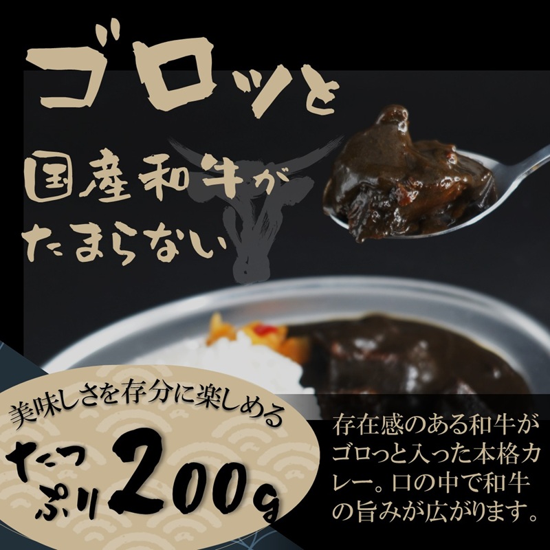 和牛がゴロッと黒カレー 200g×2P ( カレー 和牛 和牛カレー 冷凍 簡単 )【A6-034】