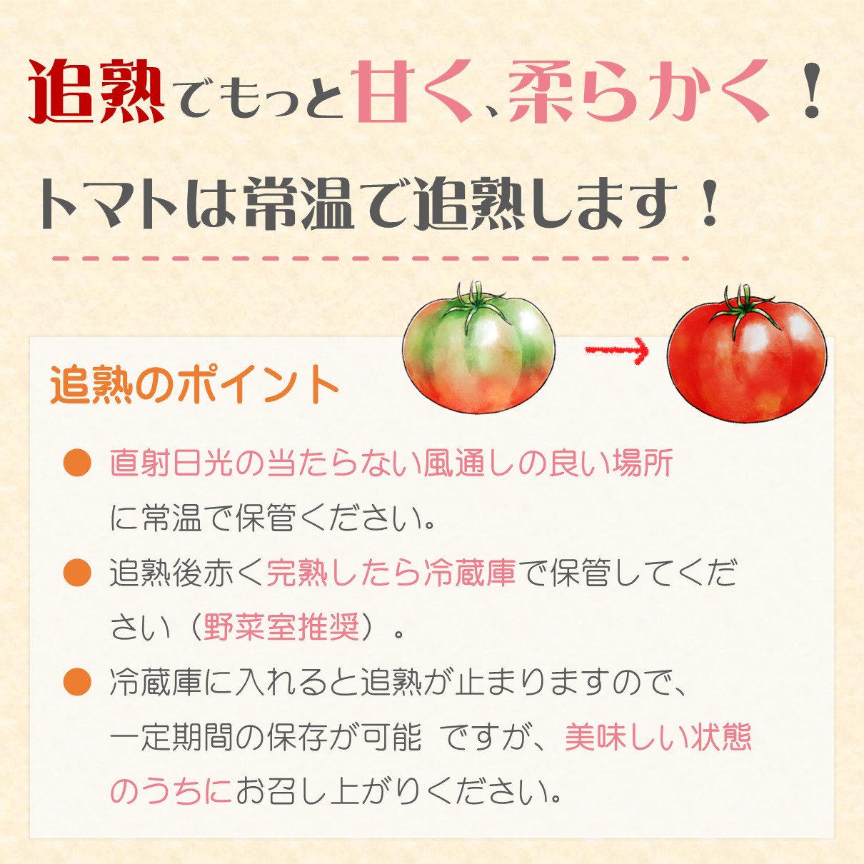 訳あり！ご家庭用に大活躍　夢追うトマト2.5kg～3kg( トマト とまと ジューシー リコピン 期間限定 松浦市 松浦産 大玉トマト 訳ありトマト )【A7-068】