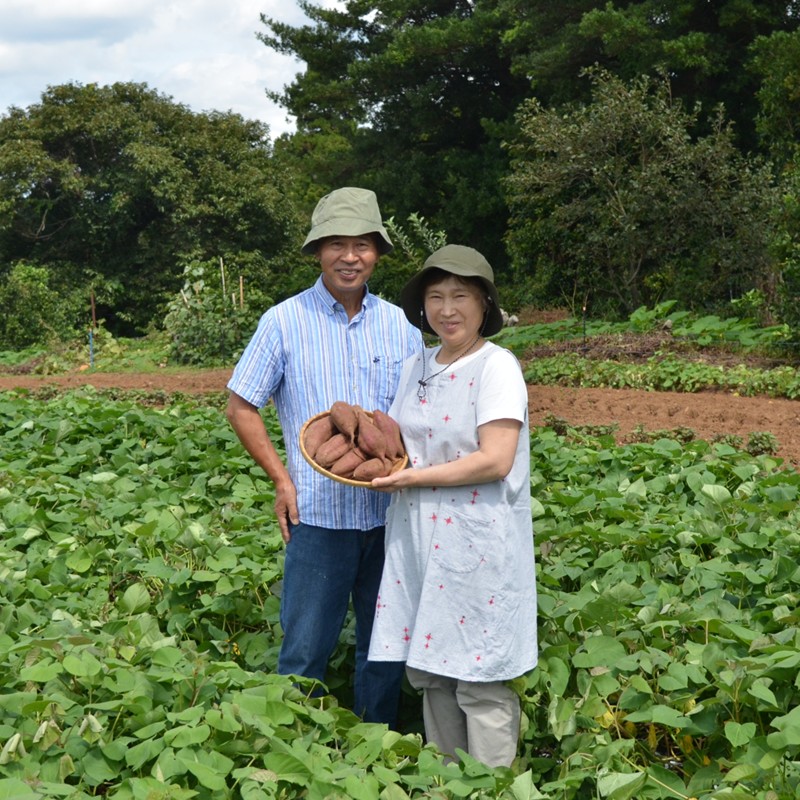 【長崎県松浦市産】畑の宝石 さつまいも(シルクスイート) 3kg ( さつまいも シルクスイート 長崎県松浦市産 長崎県産 )【A7-081】
